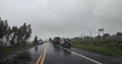 Polícia Militar Rural recupera 20 bovinos, prende 04 homens suspeitos e apreende duas armas de fogo em MS